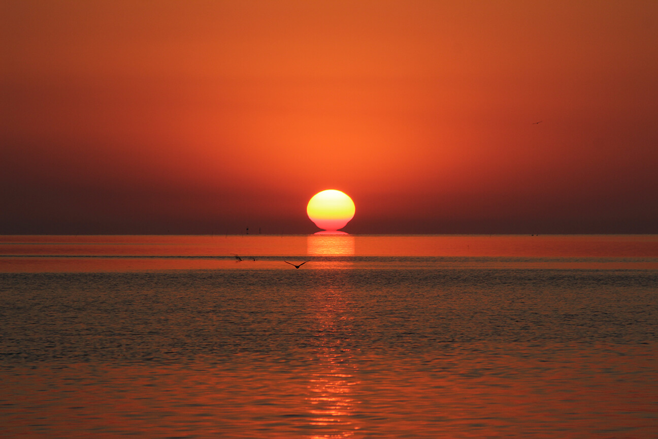 Family sunset cruise in Florida Keys