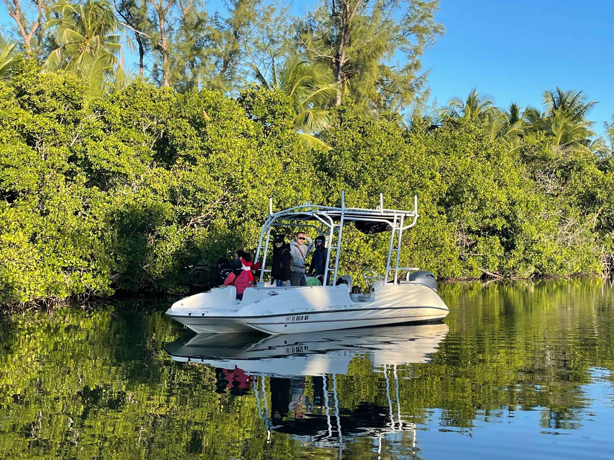 Why Islamorada's Geography Makes It a Great Spot for Marine Sightings