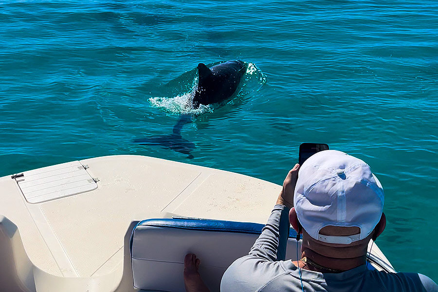 Endless summer fun in Florida Keys