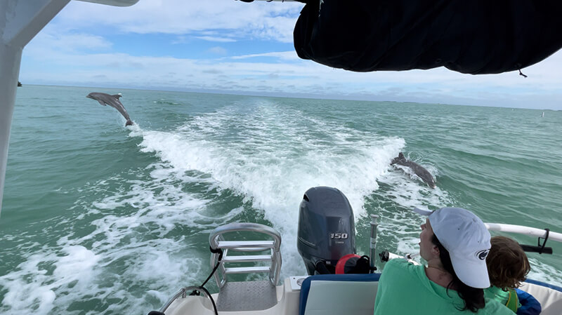 Up close wild dolphin encounter in Islamorada