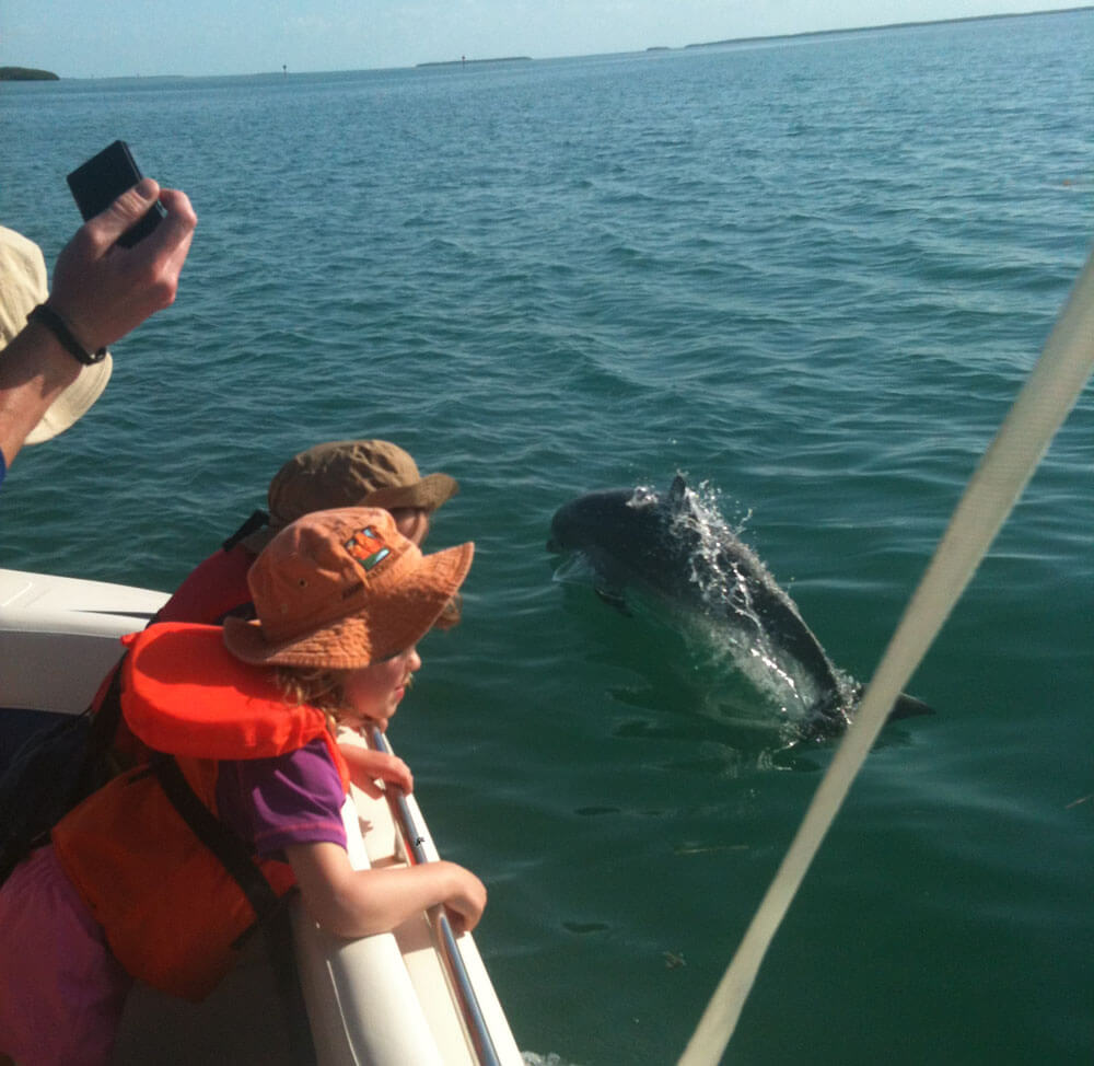How Families Can Enjoy an Eco Tour in Islamorada