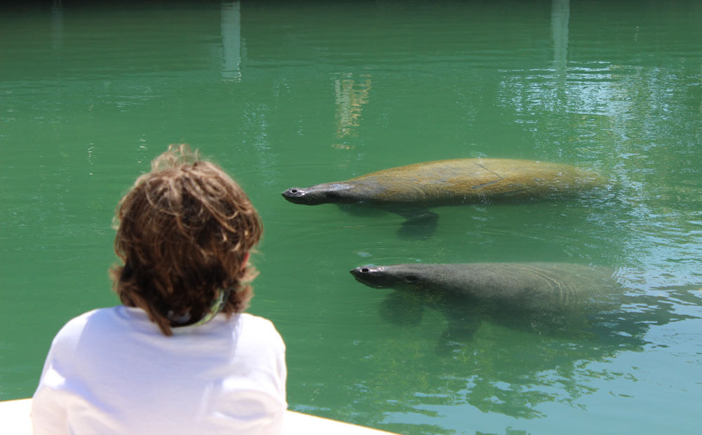 How Islamorada Eco Tours Change with the Seasons