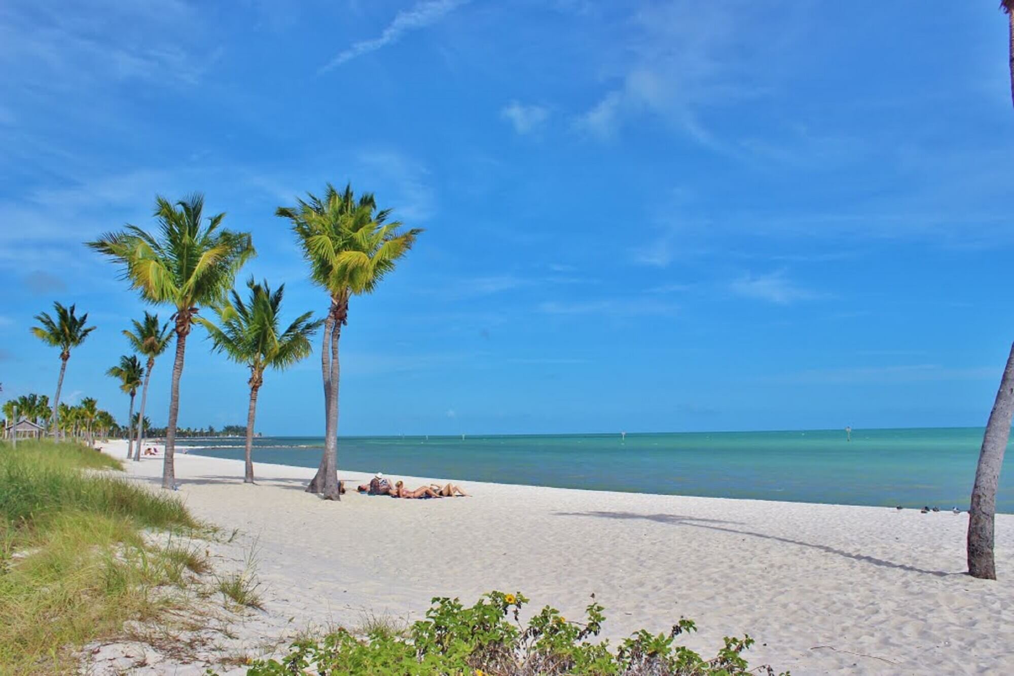 Insights into Florida Keys ecotours
