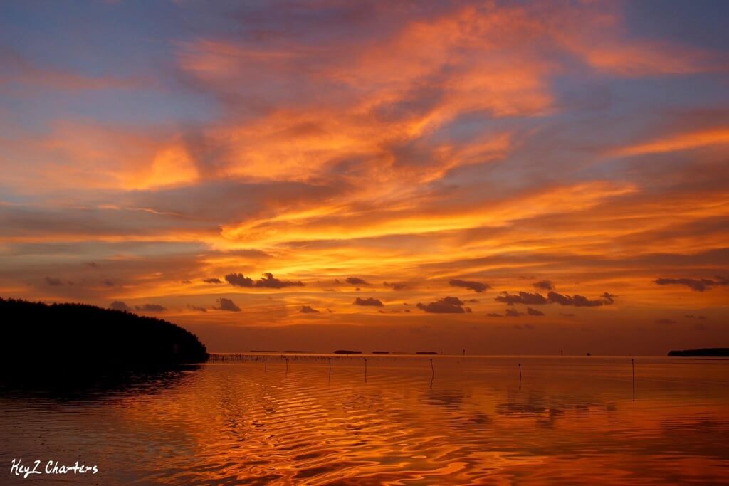 What Makes a Sunset Cruise in Islamorada Stand Out?