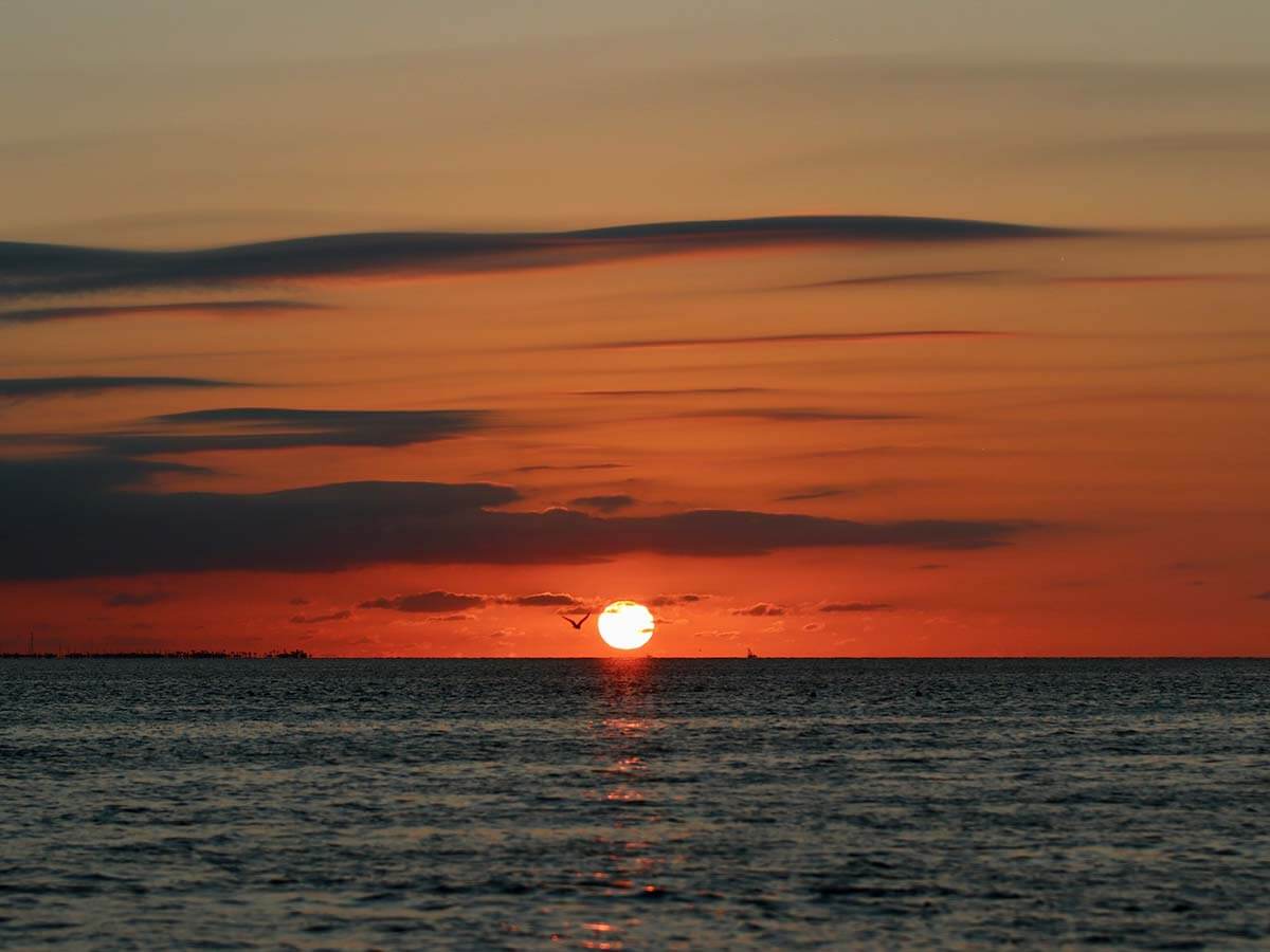 Spring break blog thumbnail