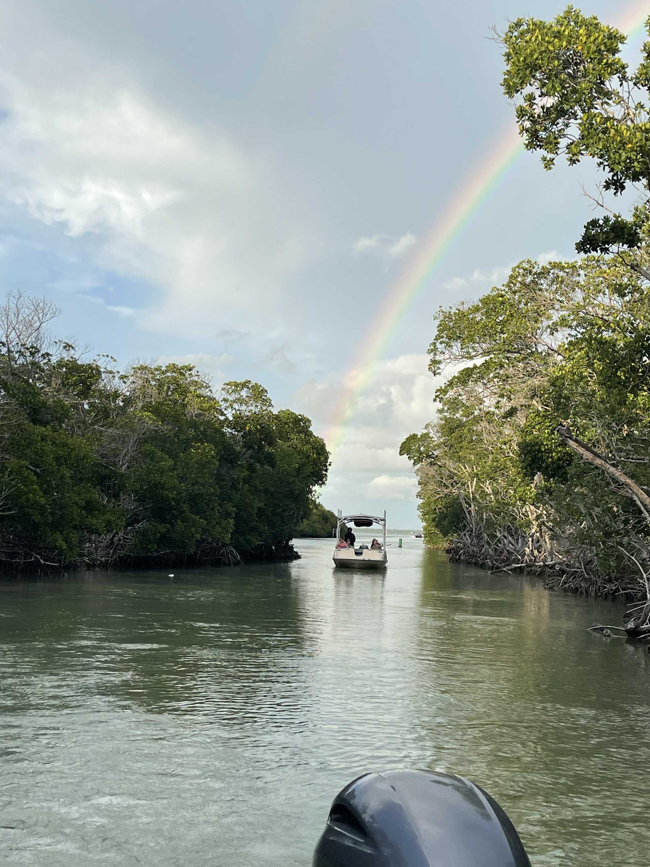 Why Mangroves Are the Coolest Things on a Florida Keys Eco Tour