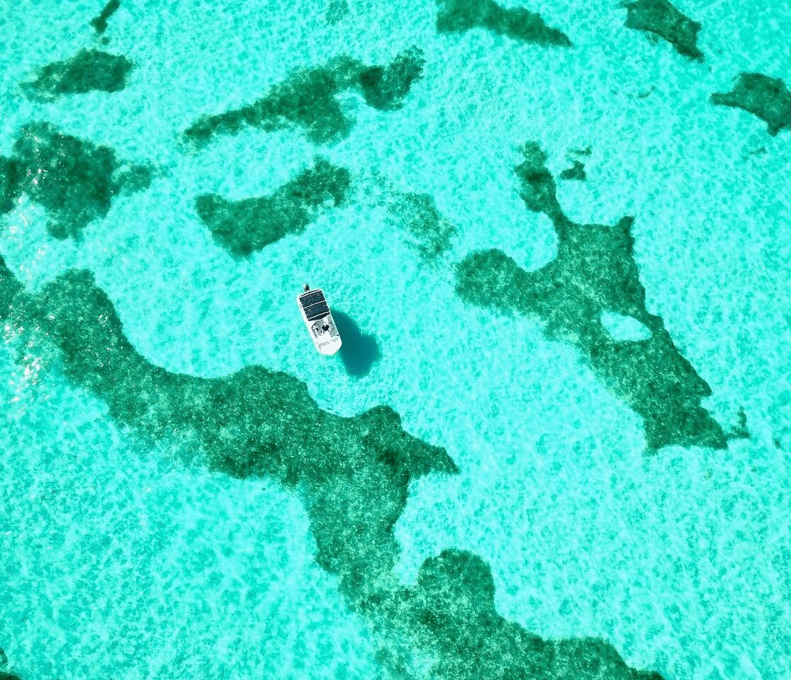 A peaceful, crowd-free island hopping adventure in Islamorada with clear waters and untouched nature