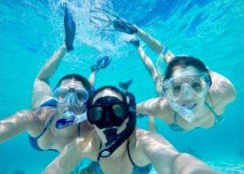 Islamorada Snorkeling