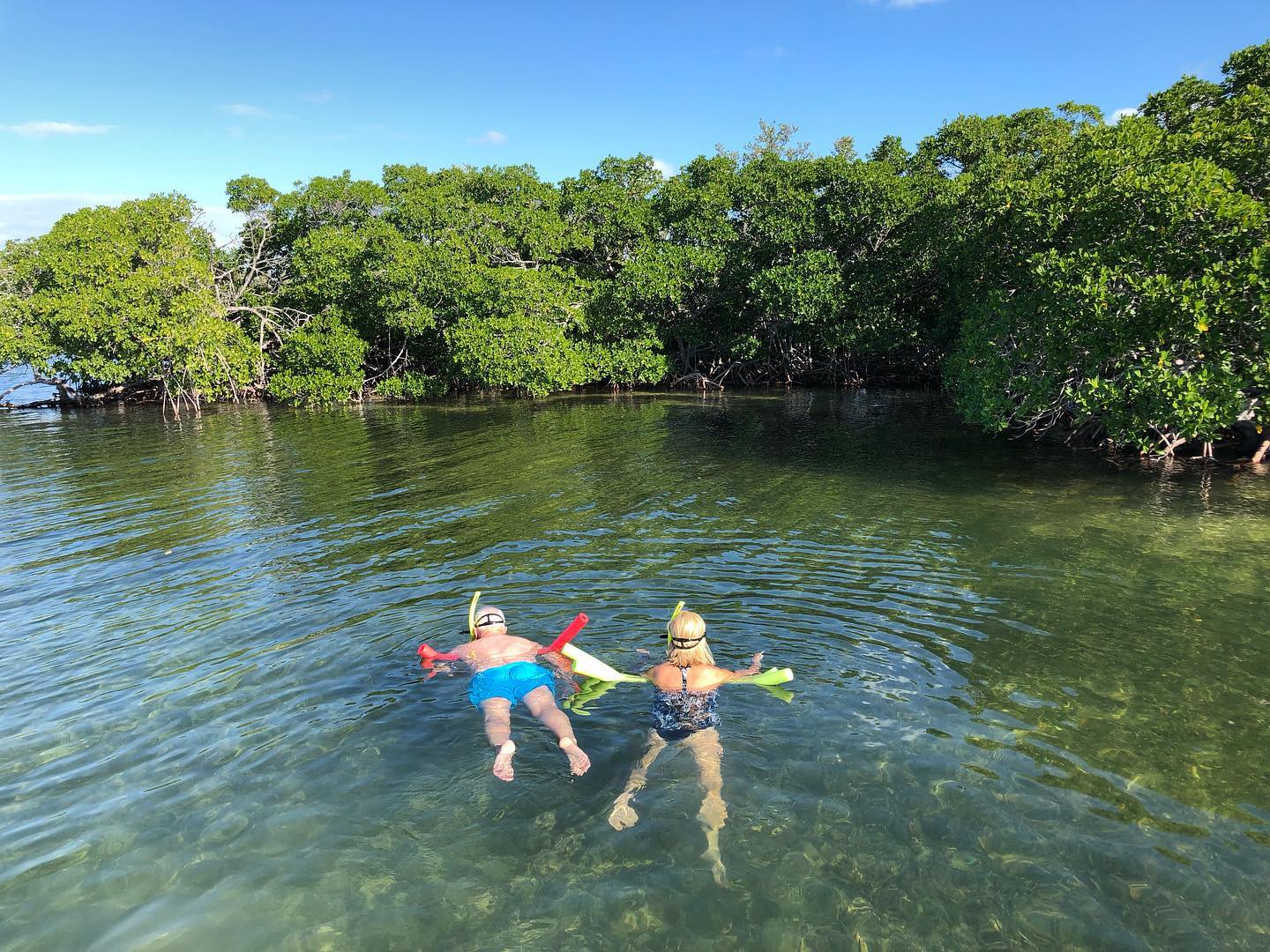 Windy weather in Islamorada