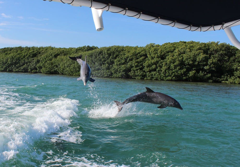 Fort Lauderdale Boat Tours