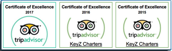 best boat tours Islamorada Florida Keys tripadvisor