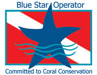 Blue Star Operator