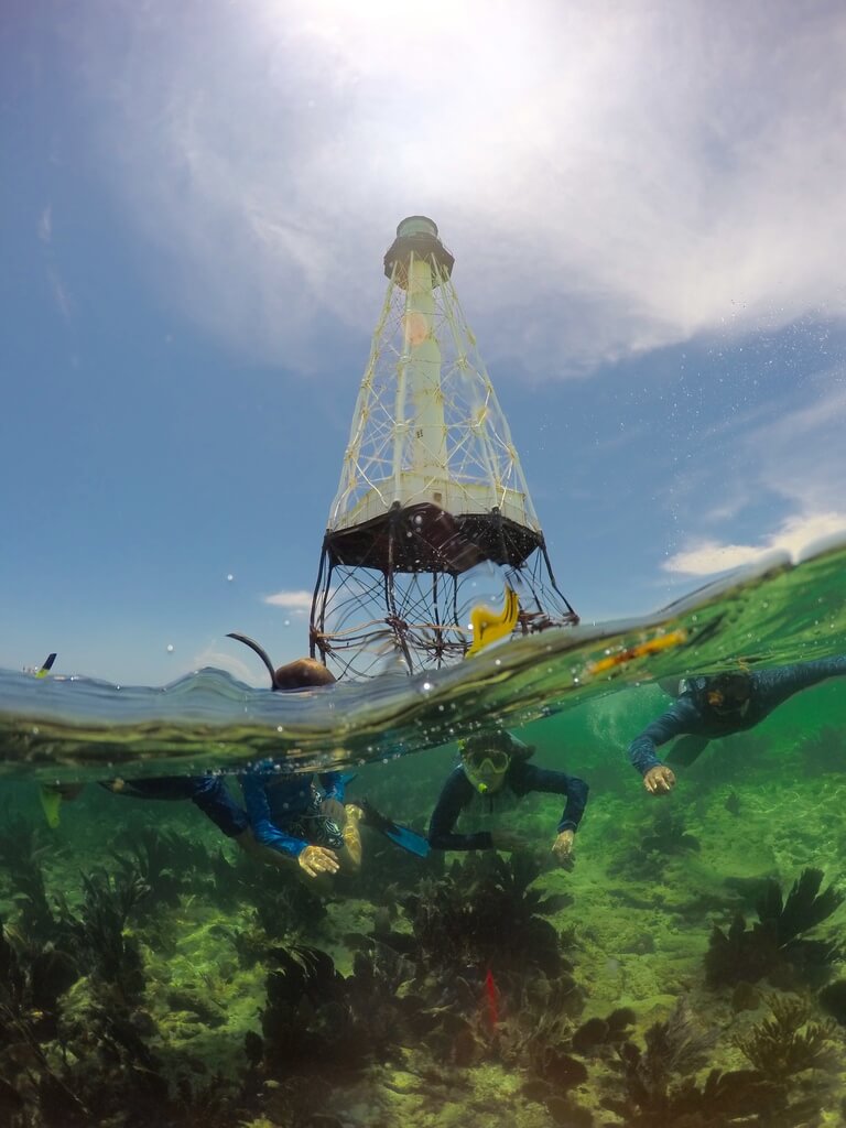 What to Expect on a Combo Tour from Islamorada