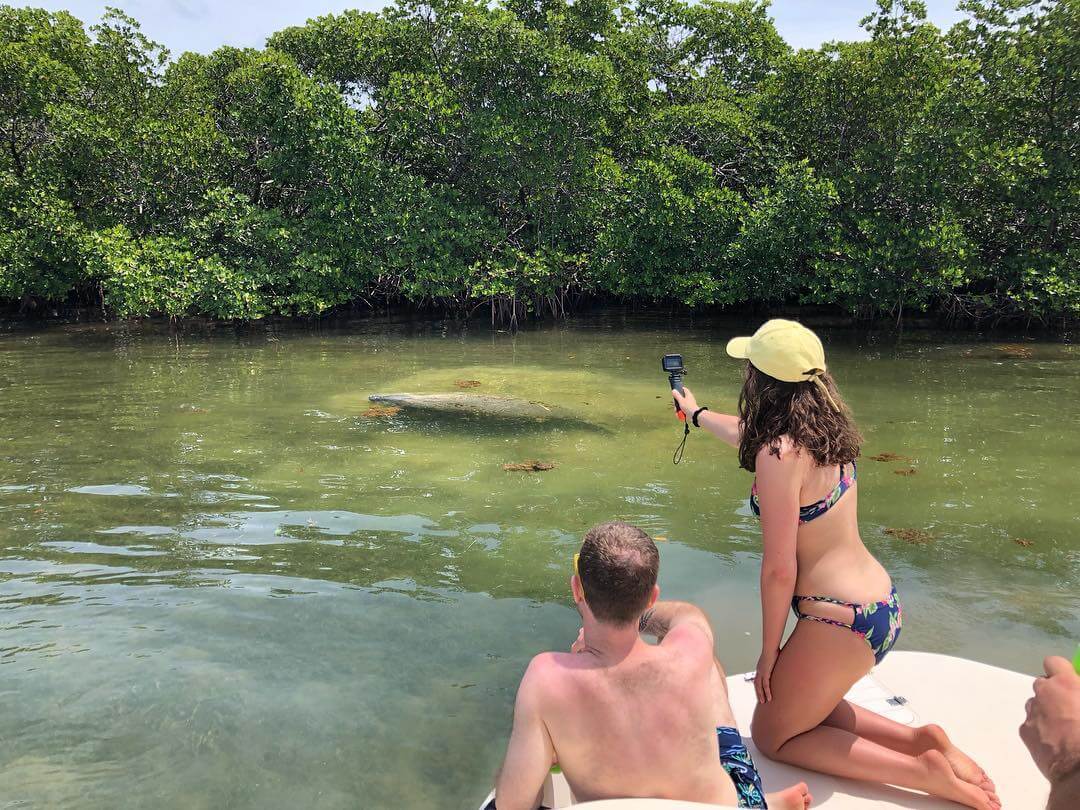 Boat tour exploring the Everglades from Islamorada with mangroves and wildlife