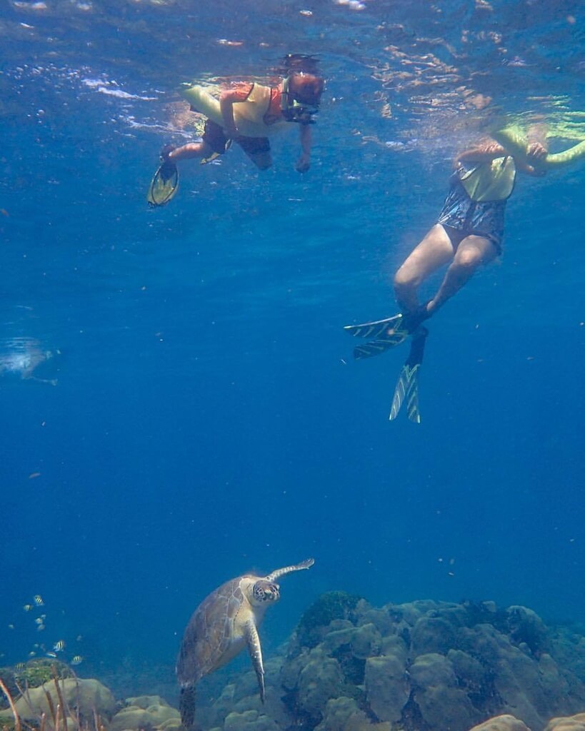 Snorkeling and sandbar adventure in Islamorada, Florida Keys