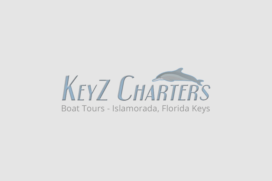 Florida Keys Snorkeling
