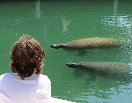 florida keys eco tour by boat