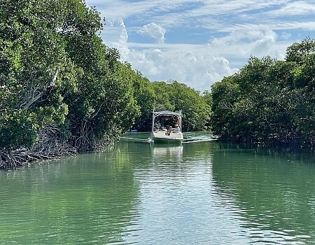 Islamorada_Ecotours